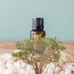 Viiruki eeterlik õli (Boswellia carterii) 15 ml