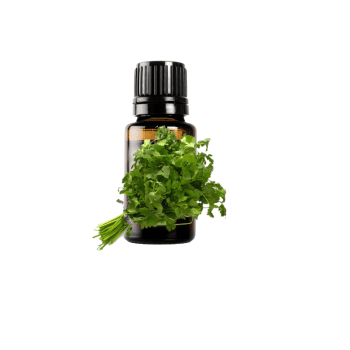 Koriandri eeterlik õli 15 ml