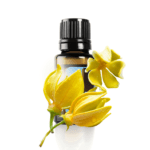 Ylang Ylang (Cananga adorata) eeterlik õli 15 ml