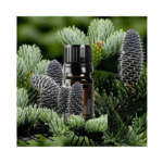 Palsamnulg - Balsam Fir (Abies balsamea) 5 ml