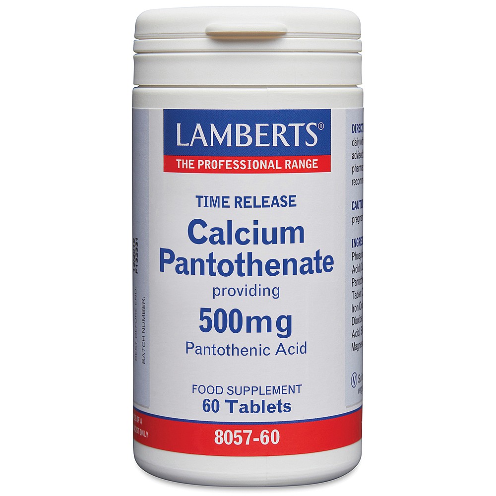 B5 vitamiin ehk pantoteenhape (pikendatud vabanemisega) 500 mg N60 tabl. (Lamberts, UK)